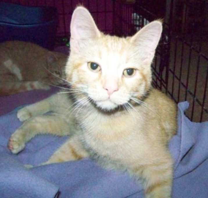 Photo of Skeeter
