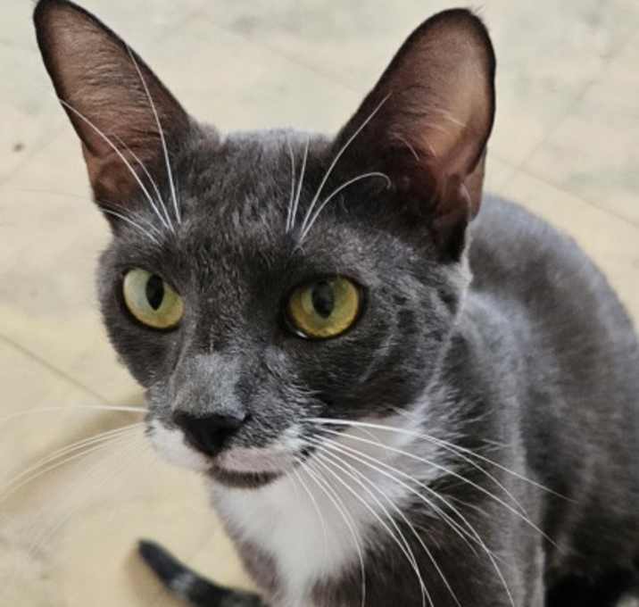 Photo of Margret