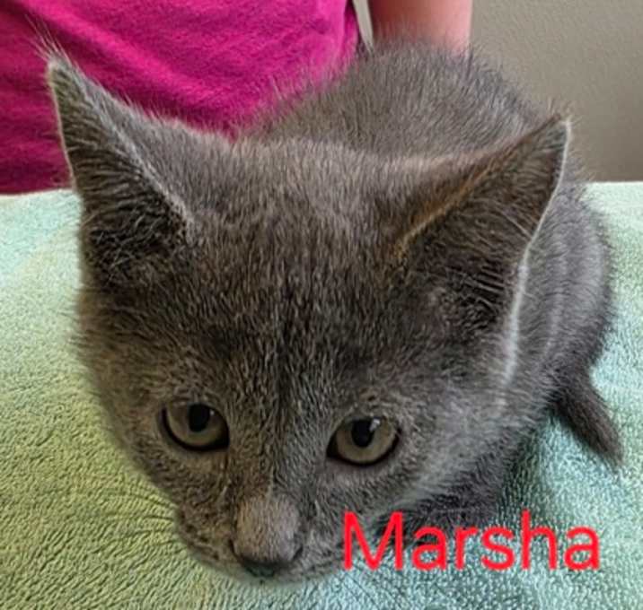 Photo of Marsha