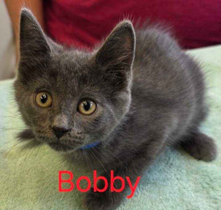 Photo of Bobby