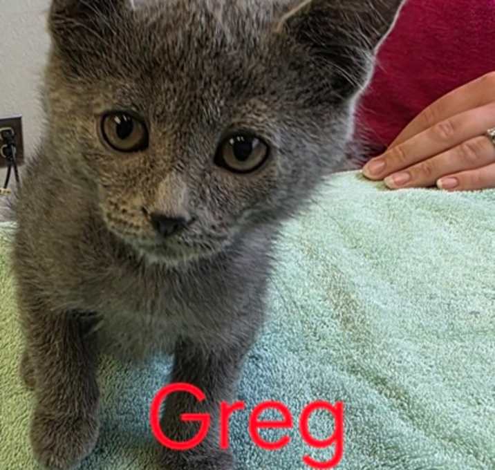 Photo of Greg