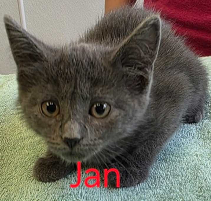 Photo of Jan