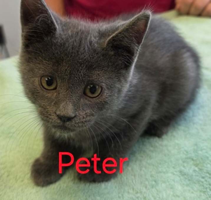 Photo of Peter