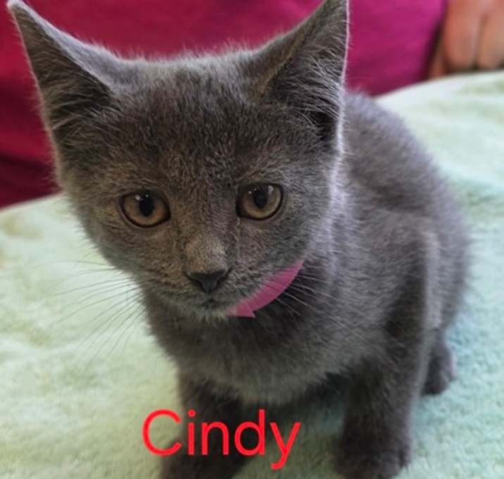 Photo of Cindy