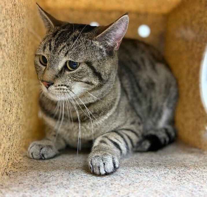 Photo of Penelope Chip