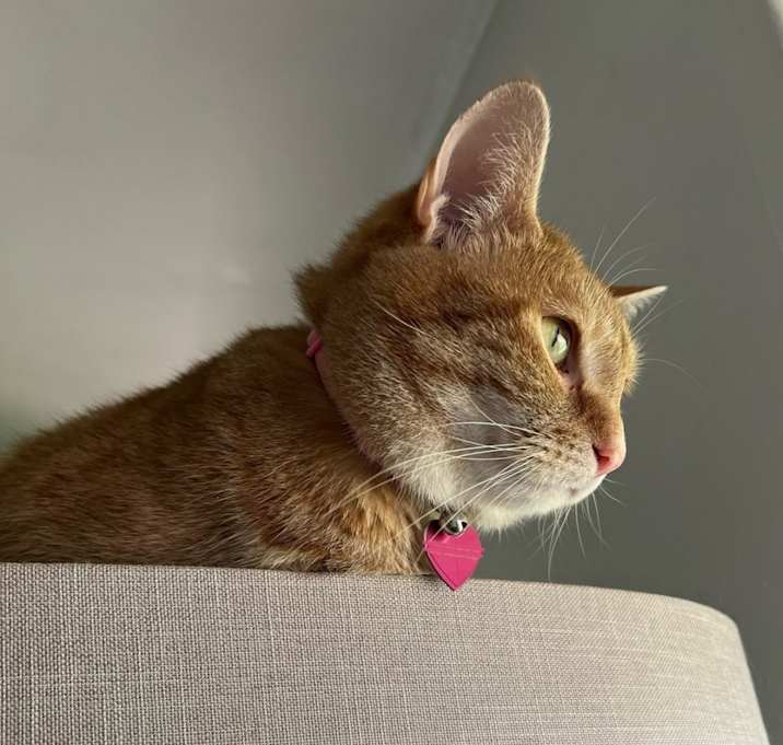 Photo of Sam