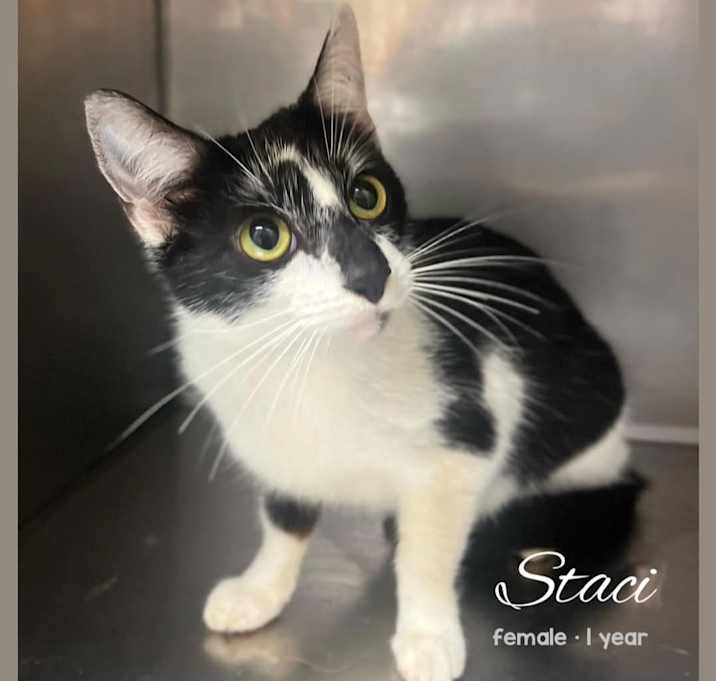 Photo of Staci
