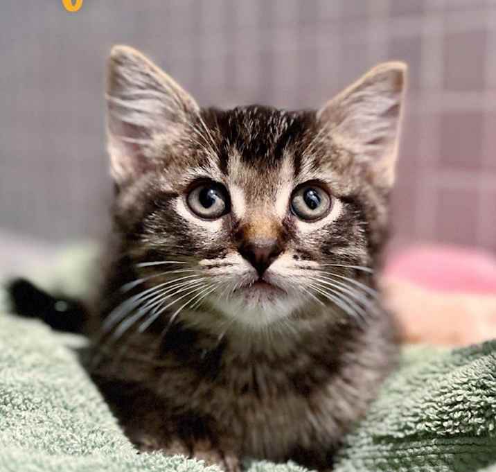 Photo of Squish