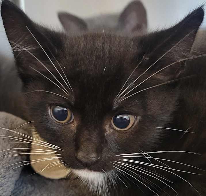 Photo of Mud Pie