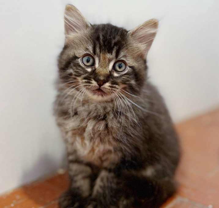 Photo of Stormy
