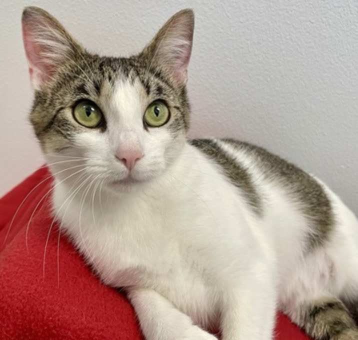 Photo of Tabina