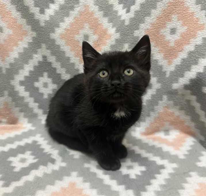 Photo of BETTY
