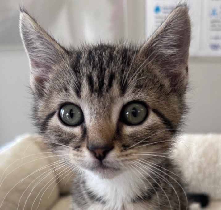 Photo of Flynn