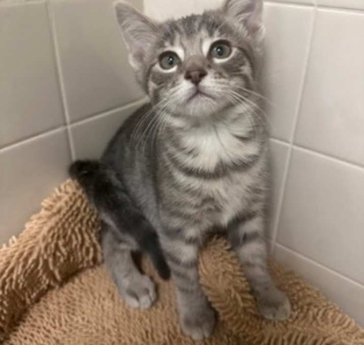Photo of BabyyBoy