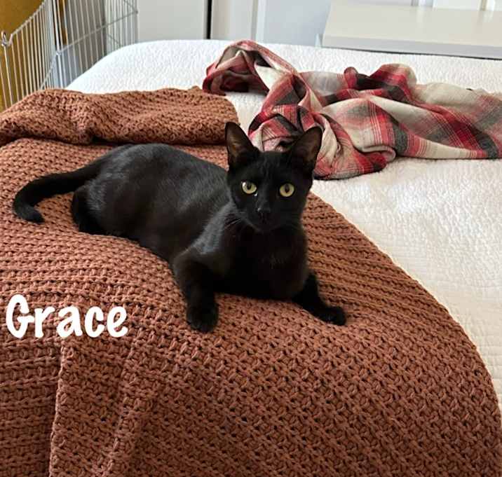 Photo of Grace
