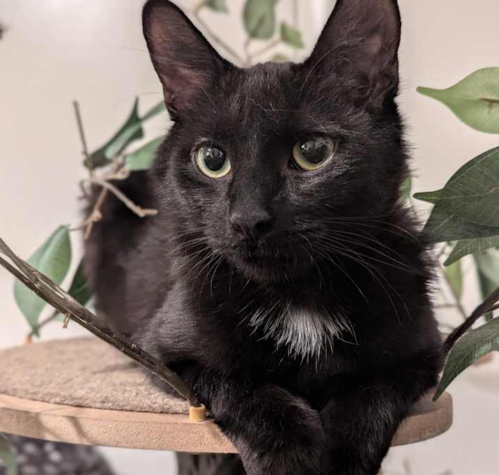 Photo of Wynter