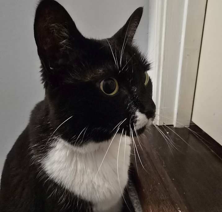 Photo of Lily