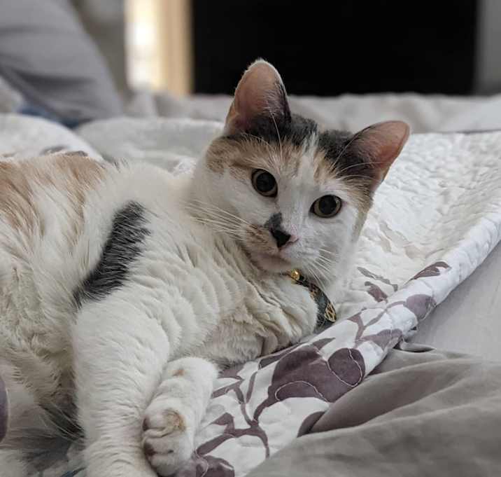 Photo of Okie