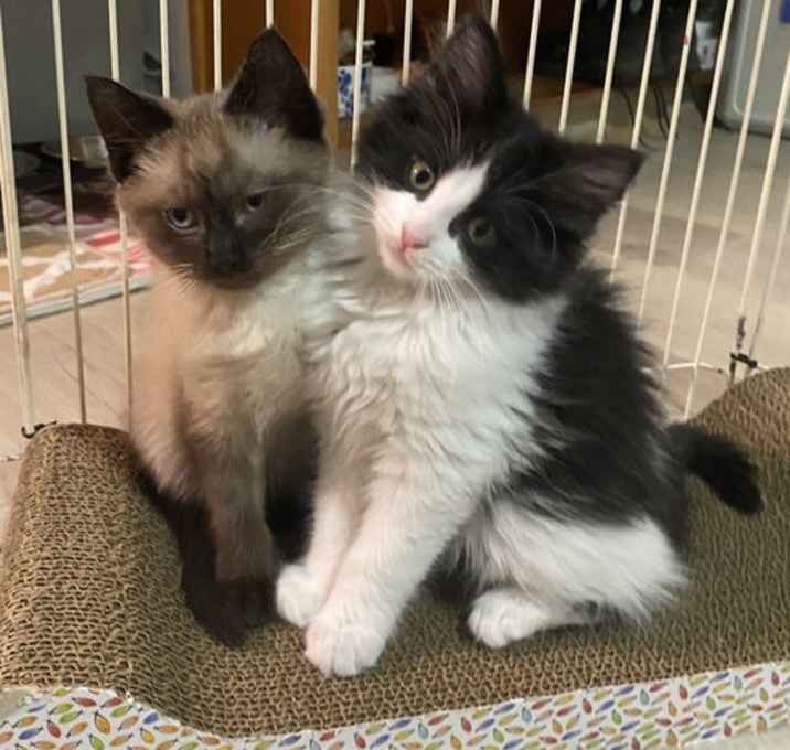 Photo of Beautiful Boys