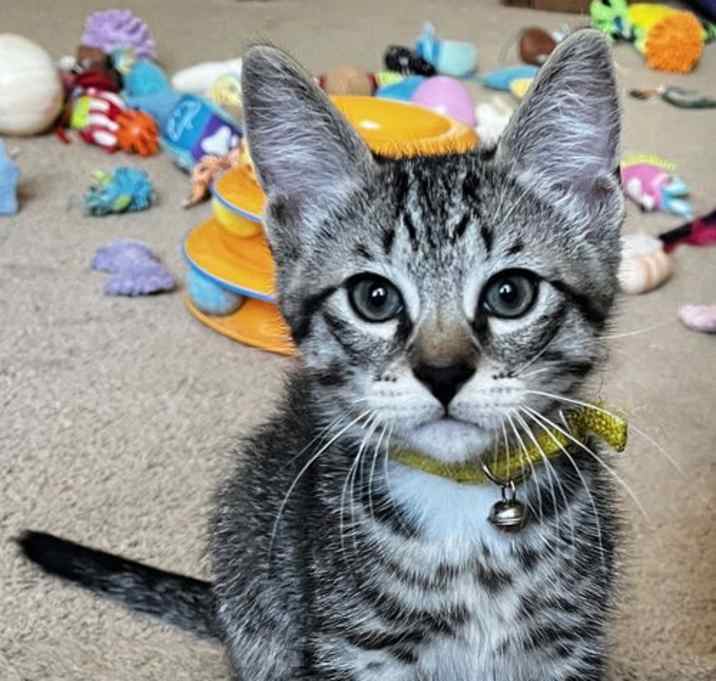Photo of Mario