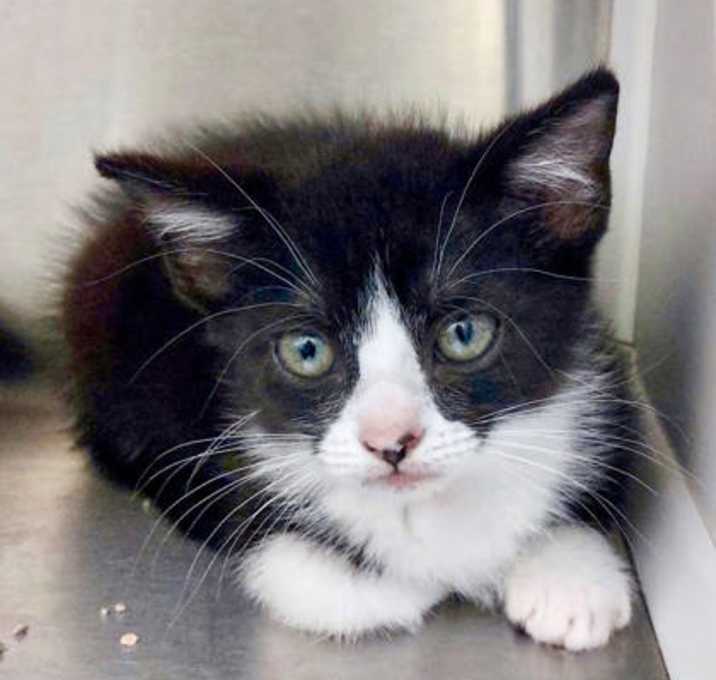 Photo of F25 SB 607 Presley
