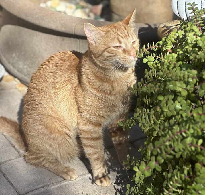 Photo of Goob