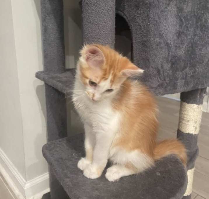 Photo of Rory