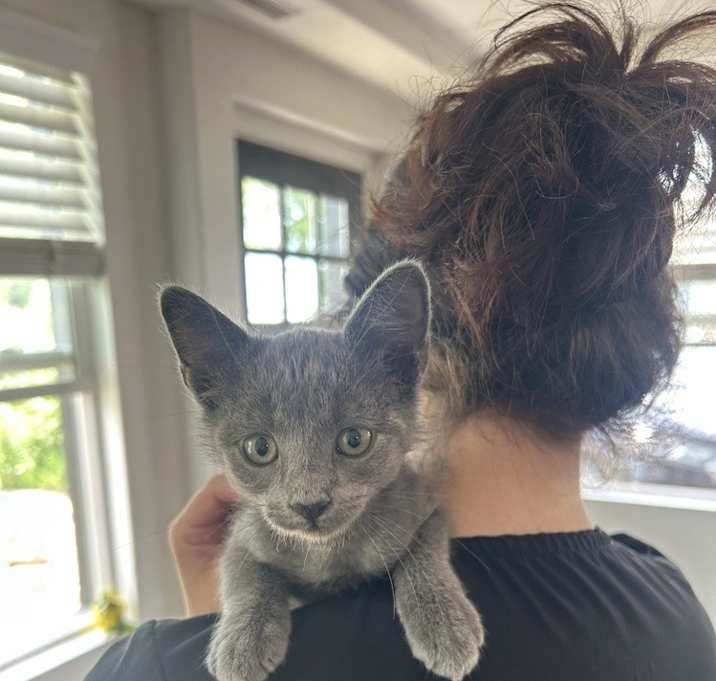 Photo of Apollo