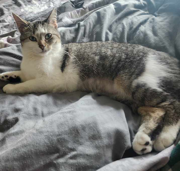 Photo of Lily
