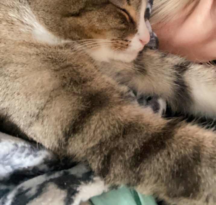 Photo of Phoebe