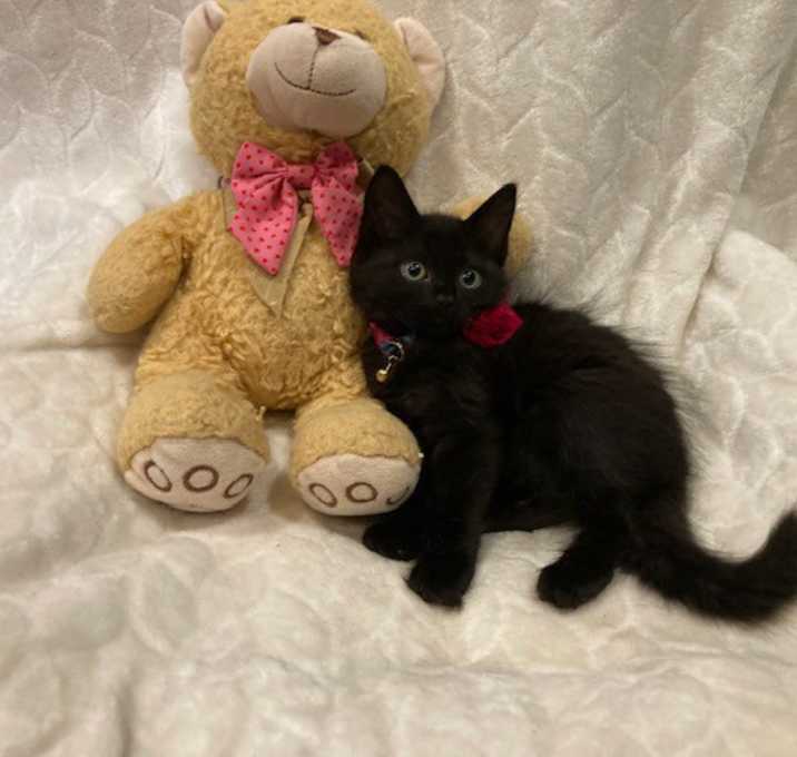 Photo of Abby