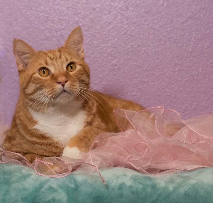 Photo of Gus