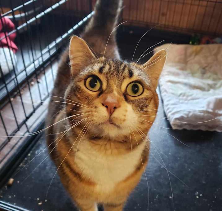 Photo of Bean