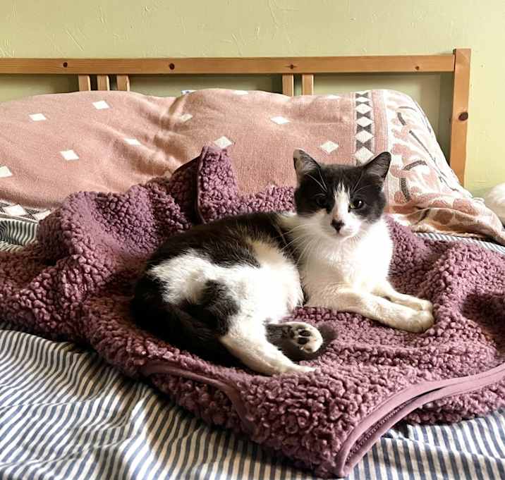 Photo of Elowen (Ellie)
