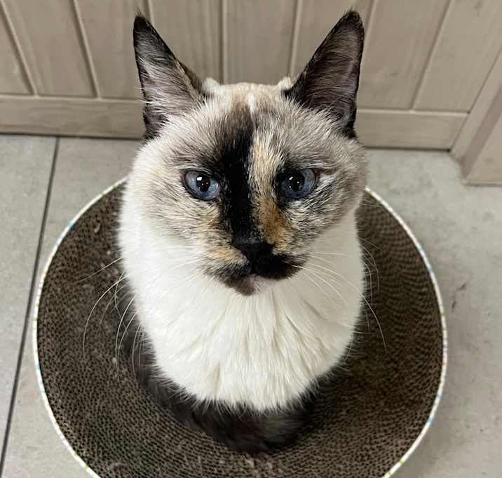 Photo of Mia