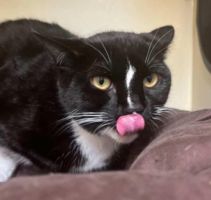 Photo of Edna~s24/25-0549