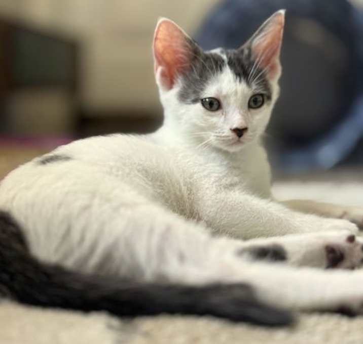 Photo of Tessy