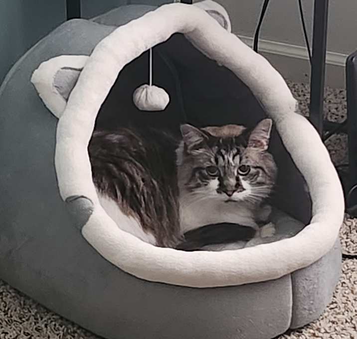 Photo of Gary