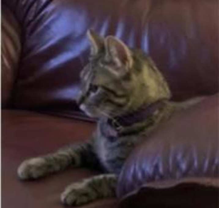 Photo of Bobbie