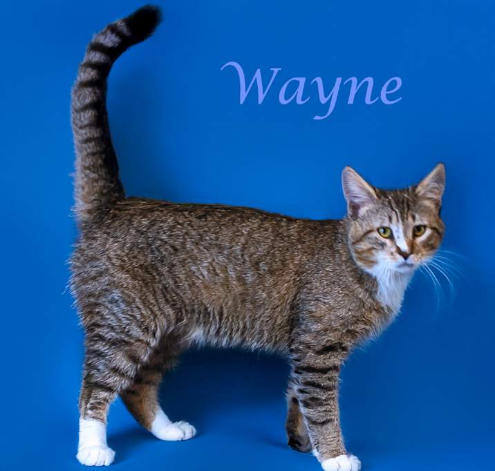 Photo of Wayne C25-147