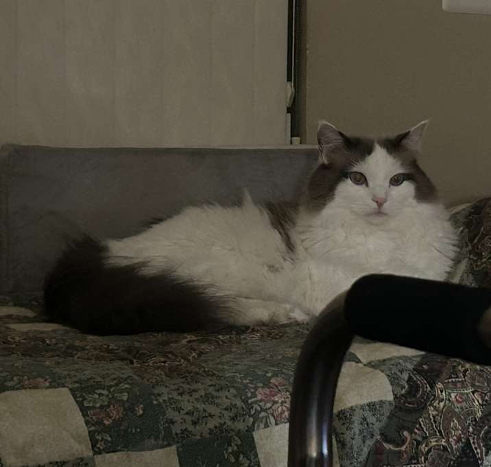 Photo of Tucker