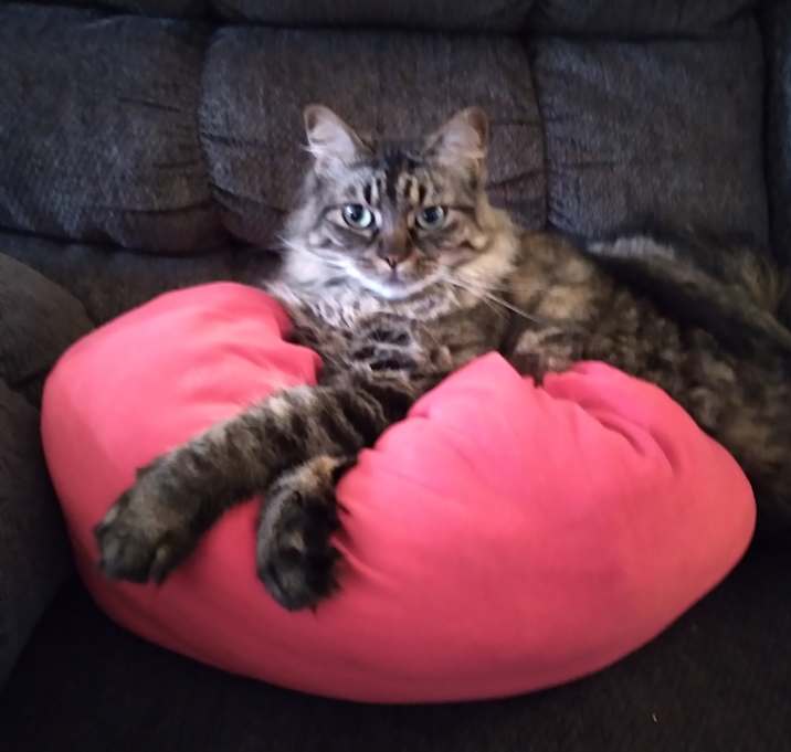 Photo of Jojo