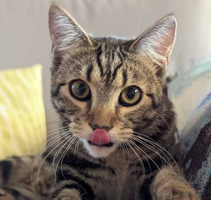 Photo of Kip