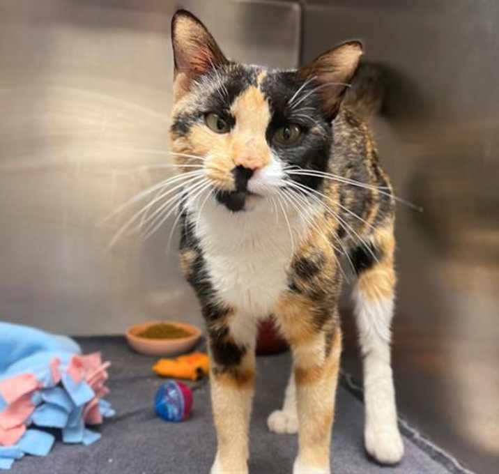 Photo of TAFFY LOU