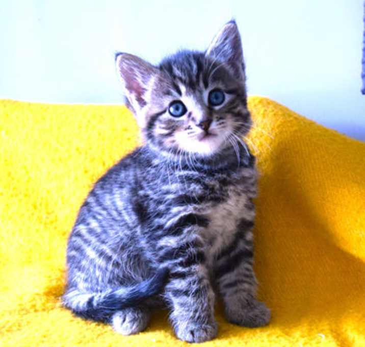 Photo of Aurora