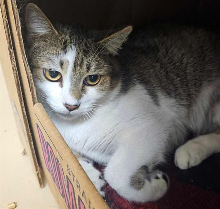 Photo of CHUBBY
