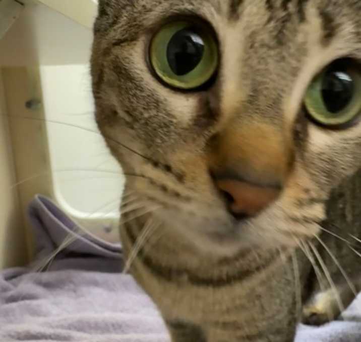 Photo of Bonita