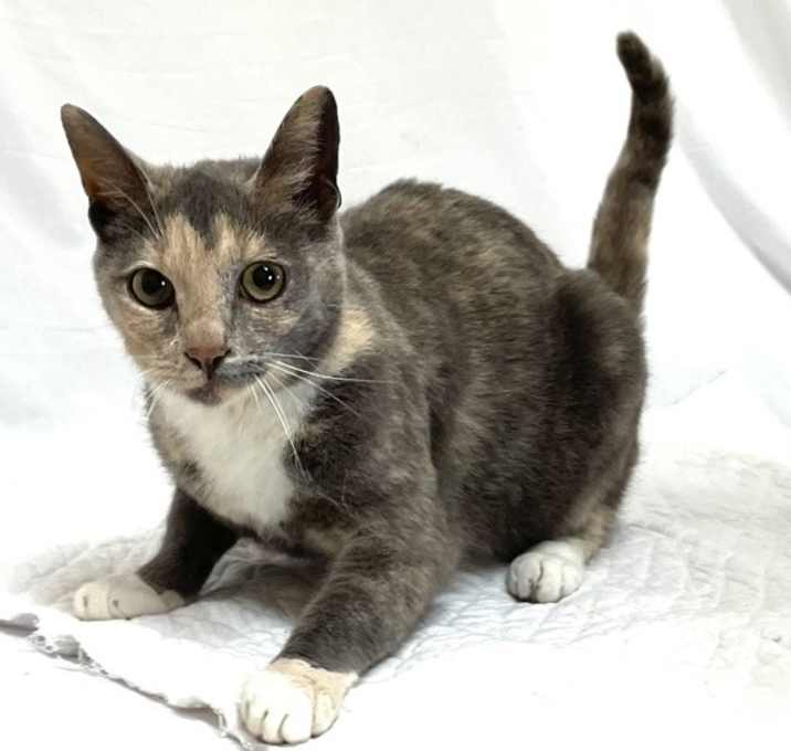 Photo of Nora
