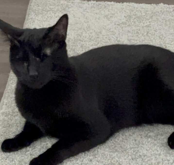 Photo of Mike