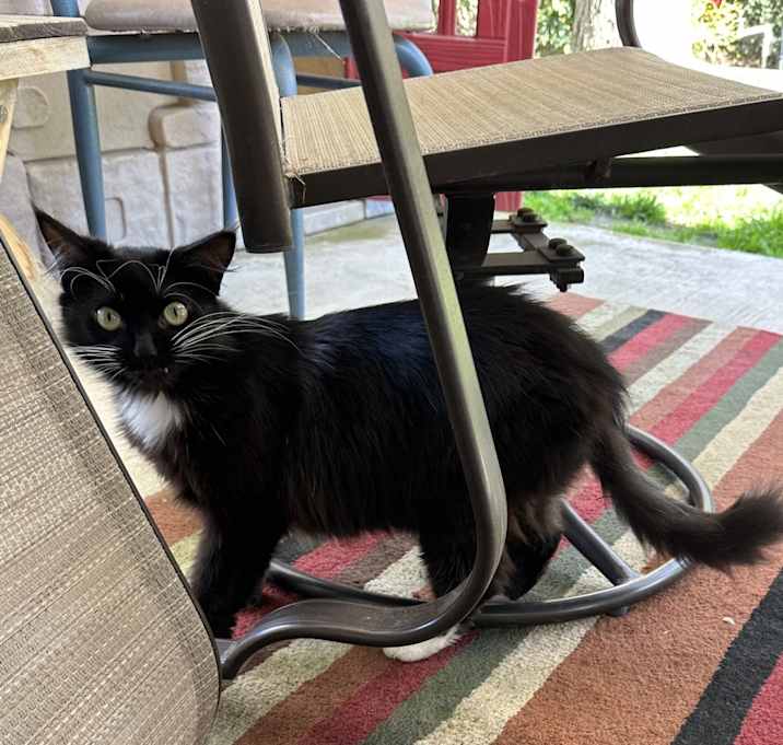 Photo of Gretel